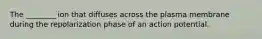 The ________ ion that diffuses across the plasma membrane during the repolarization phase of an action potential.