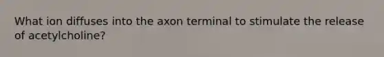 What ion diffuses into the axon terminal to stimulate the release of acetylcholine?