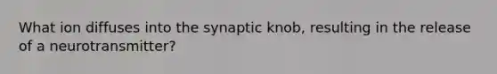 What ion diffuses into the synaptic knob, resulting in the release of a neurotransmitter?