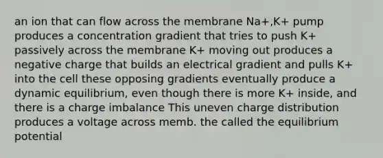 an ion that can flow across the membrane Na+,K+ pump produces a concentration gradient that tries to push K+ passively across the membrane K+ moving out produces a negative charge that builds an electrical gradient and pulls K+ into the cell these opposing gradients eventually produce a dynamic equilibrium, even though there is more K+ inside, and there is a charge imbalance This uneven charge distribution produces a voltage across memb. the called the equilibrium potential