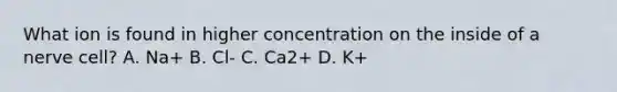 What ion is found in higher concentration on the inside of a nerve cell? A. Na+ B. Cl- C. Ca2+ D. K+