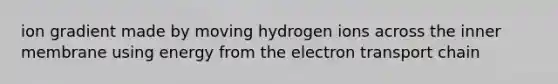 ion gradient made by moving hydrogen ions across the inner membrane using energy from the electron transport chain