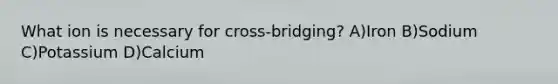 What ion is necessary for cross-bridging? A)Iron B)Sodium C)Potassium D)Calcium