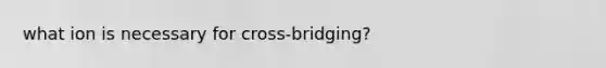 what ion is necessary for cross-bridging?