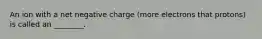 An ion with a net negative charge (more electrons that protons) is called an ________.