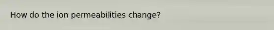 How do the ion permeabilities change?