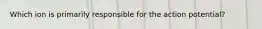Which ion is primarily responsible for the action potential?