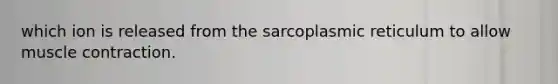 which ion is released from the sarcoplasmic reticulum to allow muscle contraction.