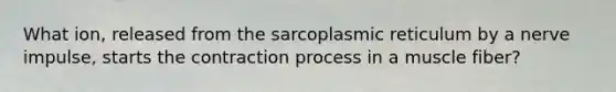 What ion, released from the sarcoplasmic reticulum by a nerve impulse, starts the contraction process in a muscle fiber?