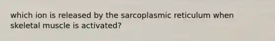 which ion is released by the sarcoplasmic reticulum when skeletal muscle is activated?