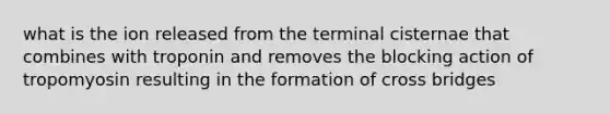 what is the ion released from the terminal cisternae that combines with troponin and removes the blocking action of tropomyosin resulting in the formation of cross bridges