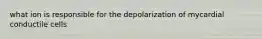 what ion is responsible for the depolarization of mycardial conductile cells