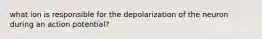 what ion is responsible for the depolarization of the neuron during an action potential?