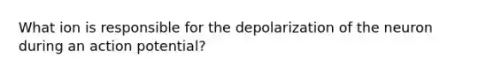 What ion is responsible for the depolarization of the neuron during an action potential?