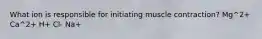 What ion is responsible for initiating muscle contraction? Mg^2+ Ca^2+ H+ Cl- Na+