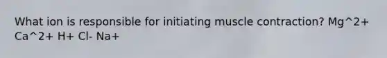 What ion is responsible for initiating muscle contraction? Mg^2+ Ca^2+ H+ Cl- Na+