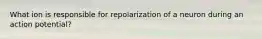 What ion is responsible for repolarization of a neuron during an action potential?