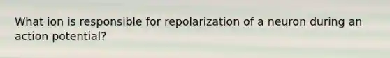 What ion is responsible for repolarization of a neuron during an action potential?