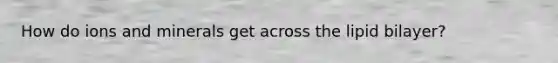 How do ions and minerals get across the lipid bilayer?