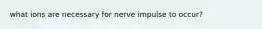 what ions are necessary for nerve impulse to occur?