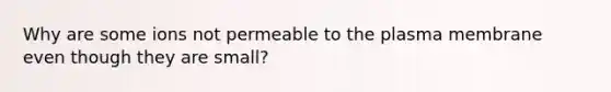 Why are some ions not permeable to the plasma membrane even though they are small?