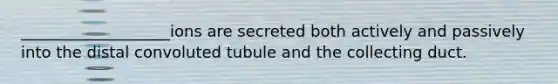 ___________________ions are secreted both actively and passively into the distal convoluted tubule and the collecting duct.