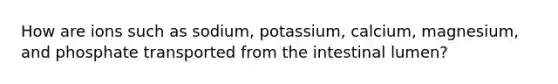 How are ions such as sodium, potassium, calcium, magnesium, and phosphate transported from the intestinal lumen?