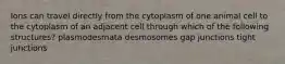 Ions can travel directly from the cytoplasm of one animal cell to the cytoplasm of an adjacent cell through which of the following structures? plasmodesmata desmosomes gap junctions tight junctions