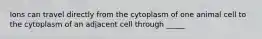 Ions can travel directly from the cytoplasm of one animal cell to the cytoplasm of an adjacent cell through _____