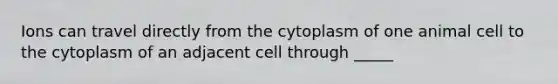 Ions can travel directly from the cytoplasm of one animal cell to the cytoplasm of an adjacent cell through _____