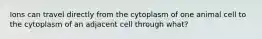 Ions can travel directly from the cytoplasm of one animal cell to the cytoplasm of an adjacent cell through what?