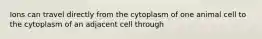 Ions can travel directly from the cytoplasm of one animal cell to the cytoplasm of an adjacent cell through