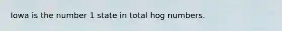 Iowa is the number 1 state in total hog numbers.