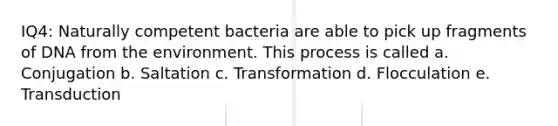 IQ4: Naturally competent bacteria are able to pick up fragments of DNA from the environment. This process is called a. Conjugation b. Saltation c. Transformation d. Flocculation e. Transduction