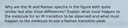 Why are the IR and Raman spectra in the figure both quite similar but also show differences? Explain what must happen to the molecule for an IR transition to be observed and what must happen to the molecule to see a Raman transition peak.