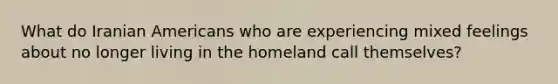 What do Iranian Americans who are experiencing mixed feelings about no longer living in the homeland call themselves?