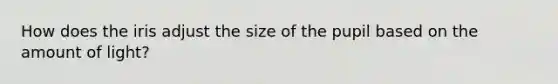 How does the iris adjust the size of the pupil based on the amount of light?