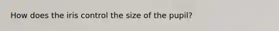 How does the iris control the size of the pupil?