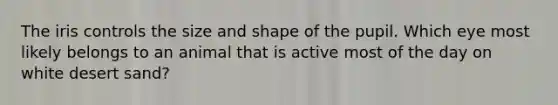 The iris controls the size and shape of the pupil. Which eye most likely belongs to an animal that is active most of the day on white desert sand?