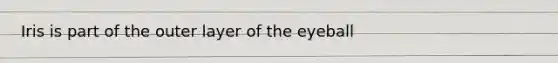 Iris is part of the outer layer of the eyeball