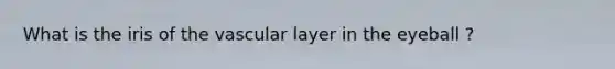 What is the iris of the vascular layer in the eyeball ?