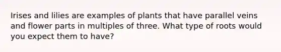 Irises and lilies are examples of plants that have parallel veins and flower parts in multiples of three. What type of roots would you expect them to have?