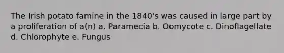 The Irish potato famine in the 1840's was caused in large part by a proliferation of a(n) a. Paramecia b. Oomycote c. Dinoflagellate d. Chlorophyte e. Fungus