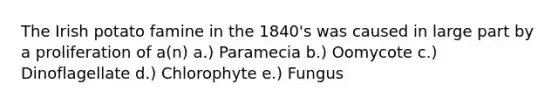 The Irish potato famine in the 1840's was caused in large part by a proliferation of a(n) a.) Paramecia b.) Oomycote c.) Dinoflagellate d.) Chlorophyte e.) Fungus