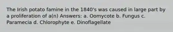 The Irish potato famine in the 1840's was caused in large part by a proliferation of a(n) Answers: a. Oomycote b. Fungus c. Paramecia d. Chlorophyte e. Dinoflagellate