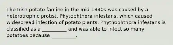 The Irish potato famine in the mid-1840s was caused by a heterotrophic protist, Phytophthora infestans, which caused widespread infection of potato plants. Phythophthora infestans is classified as a __________ and was able to infect so many potatoes because __________.