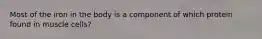 Most of the iron in the body is a component of which protein found in muscle cells?