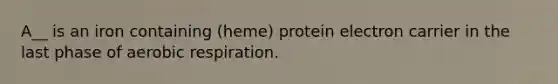 A__ is an iron containing (heme) protein electron carrier in the last phase of aerobic respiration.