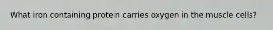 What iron containing protein carries oxygen in the muscle cells?