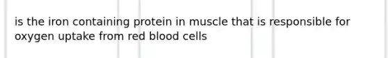 is the iron containing protein in muscle that is responsible for oxygen uptake from red blood cells